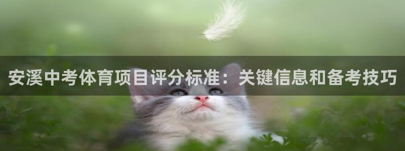 星奥娱乐集团股份有限公司官网