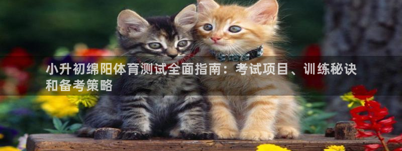 星欧娱乐公司怎么样