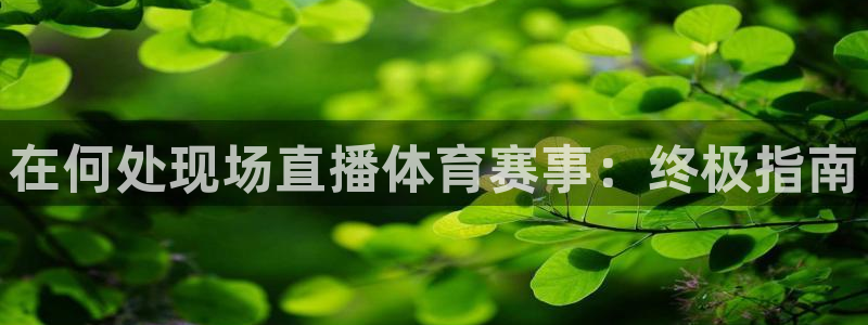 澳星国际娱乐集团