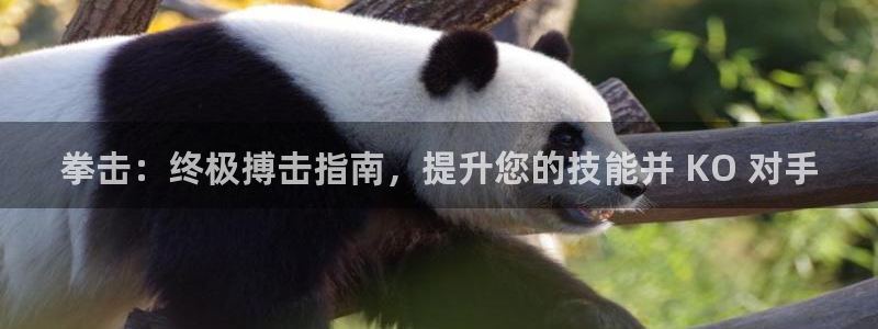 星欧娱乐属于什么档次的公司