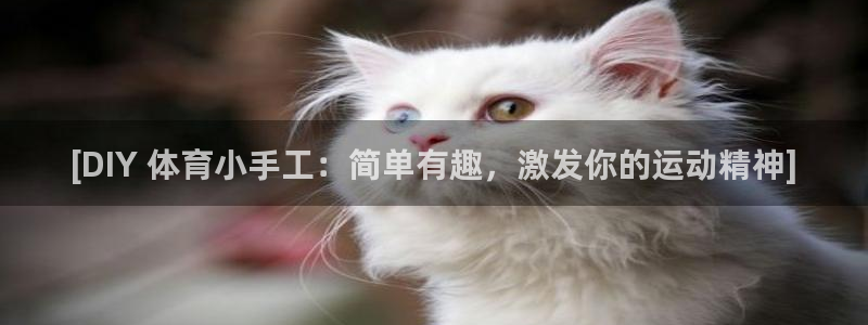 星欧娱乐挂机教程