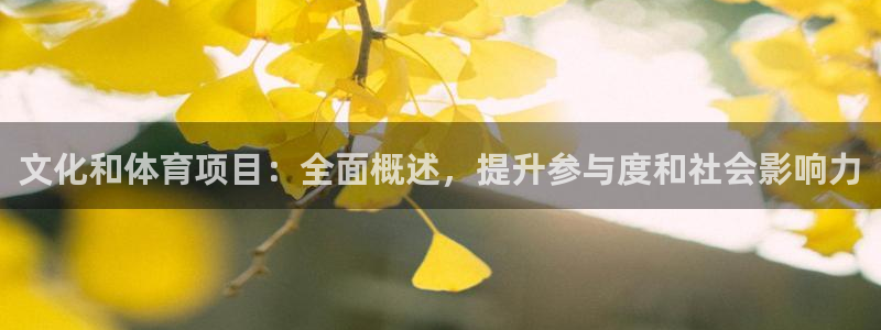 星娱乐online创作的原声胡歌吴磊
