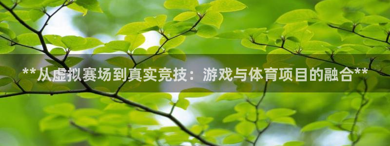 星欧娱乐扣款流程详解视频播放
