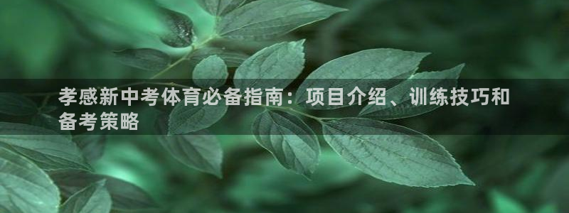 星欧娱乐雀V是什么平台