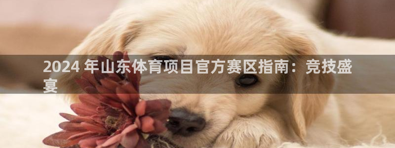 星欧娱乐公司地址