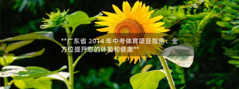 星欧娱乐扣款时间查询方法是什么