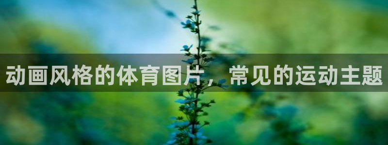 星欧娱乐扣款时间查询方法怎么查不到