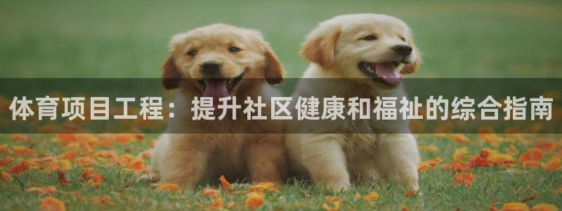 星娱乐online创作的原声胡歌吴磊