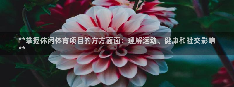 星欧娱乐下载最新版本更新内容