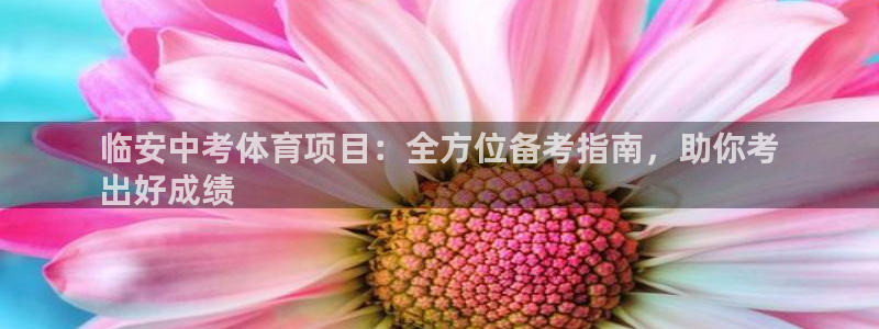 星奥娱乐集团股份有限公司
