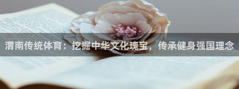 星欧娱乐平台测速线路怎么设置