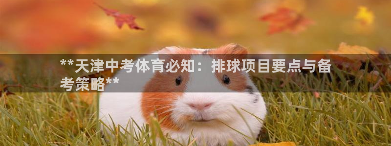 星欧娱乐的官方版本更新内容有哪些