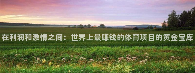 星欧娱乐公司创始人背景故事