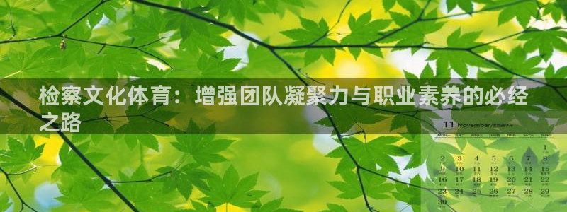 星欧娱乐公司创始人背景故事