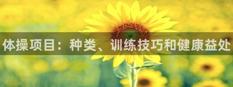 星欧娱乐扣款时间查询方法怎么查的