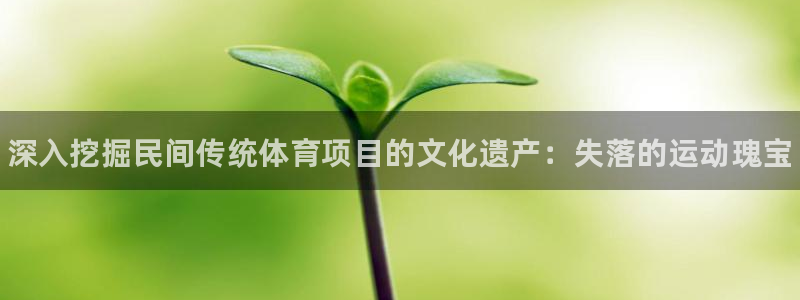 星澳娱乐公司简介