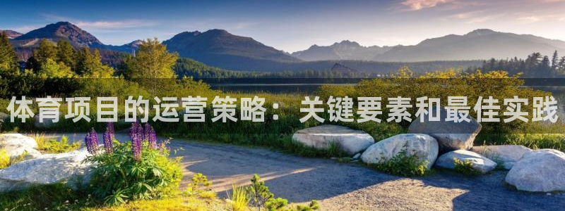 星欧娱乐是正规平台吗安全吗可靠吗