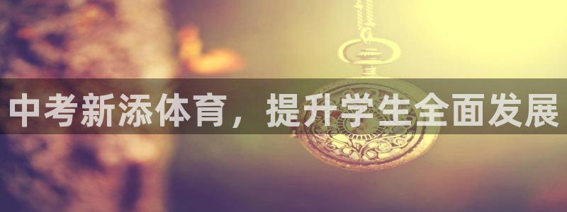 星欧娱乐联游戏评测