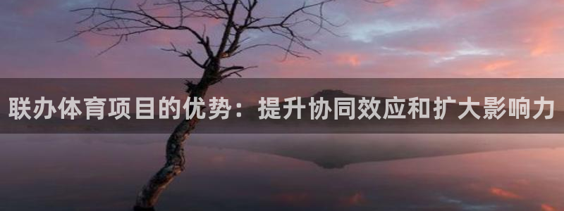 星欧娱乐app最新版本更新内容是什么