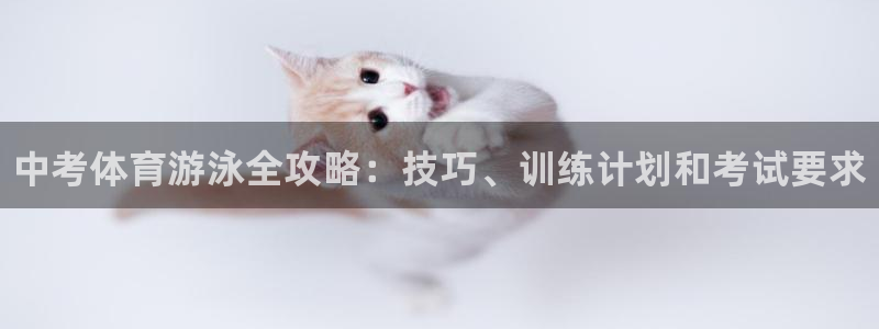 星欧娱乐扣款时间查询方法