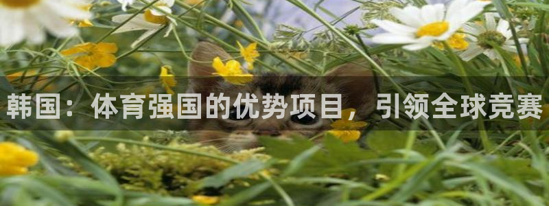 星澳娱乐公司简介