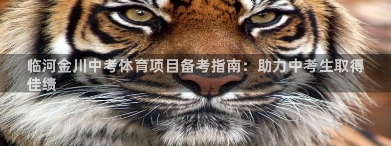 星娱乐online创作的原声胡歌吴磊