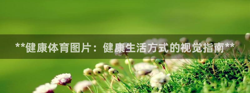 星欧娱乐公司电话号码多少