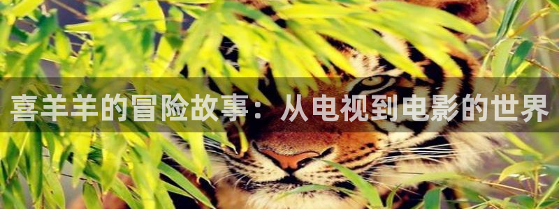 五杀影院在线观看免费最新：喜羊羊的冒险故事：从电视到电影的世界