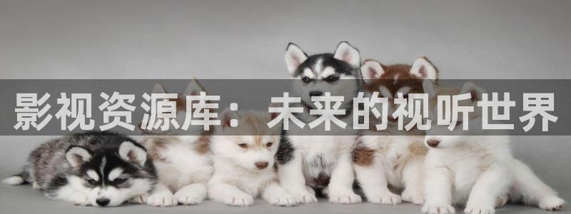 五杀影院免费观看：影视资源库：未来的视听世界