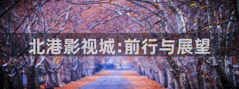 五杀影院免费高清完整：北港影视城:前行与展望