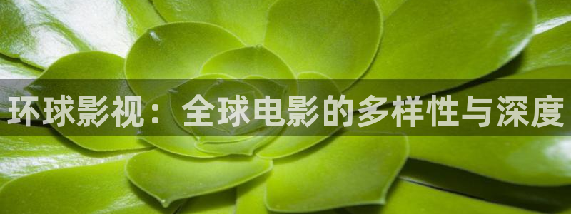 五杀影院在线电影：环球影视：全球电影的多样性与深度