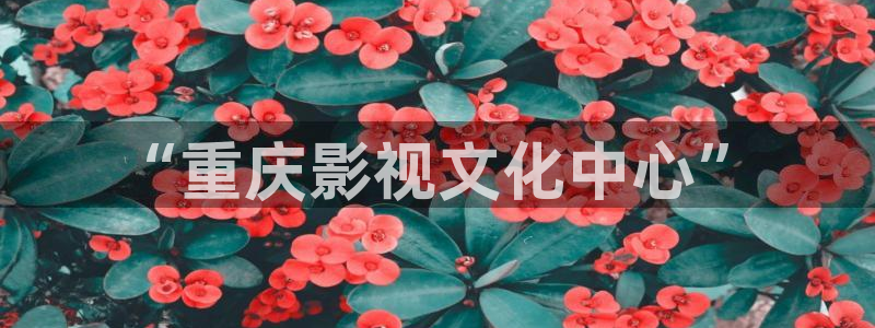 五杀影院官网在线：“重庆影视文化中心”