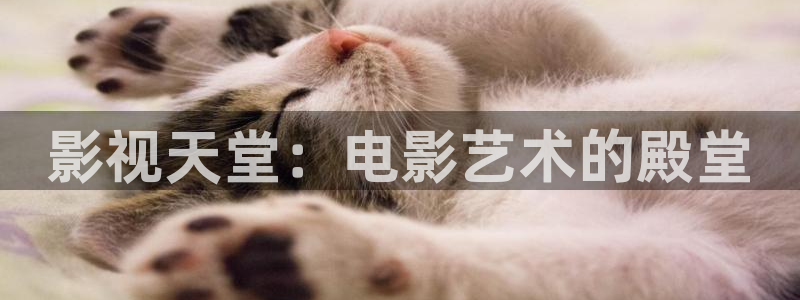 五杀影院免费观看入口：影视天堂：电影艺术的殿堂