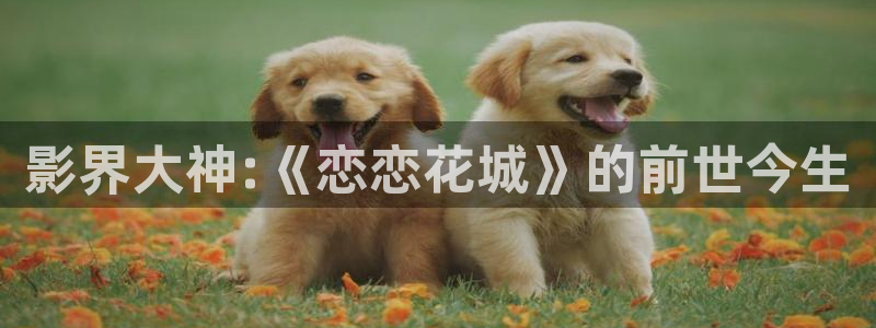 五杀影院高清在线观看：影界大神:《恋恋花城》的前世今生